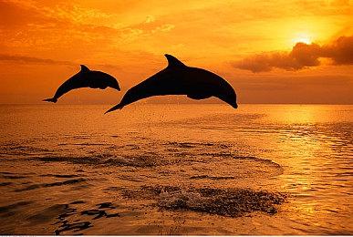 《博德之门3》开发者吐槽 欧美游戏金主很难接受回合制RPG